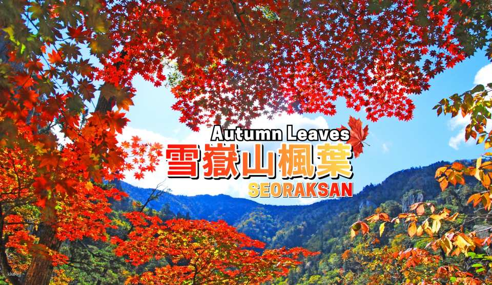 [Autumn Exclusive] Seoraksan National Park 1-Day Tour: Maple Leaves Sightseeing (Departure from Seoul) | South Korea - Photo 1 of 8